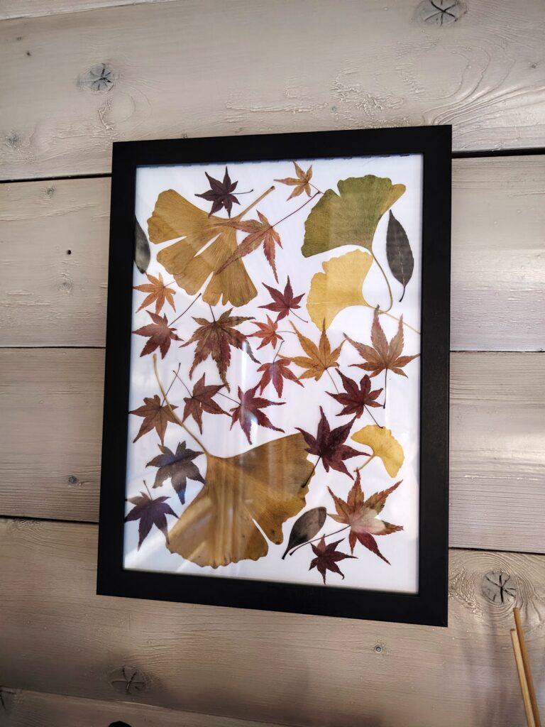 L'image montre un cadre mural avec des feuilles séchées d'érable et de gingko.